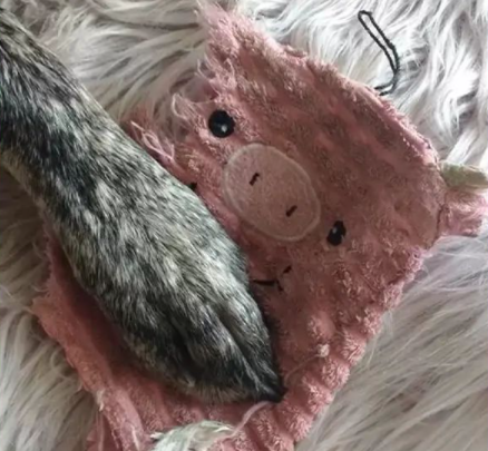 mga laruan ng baboy