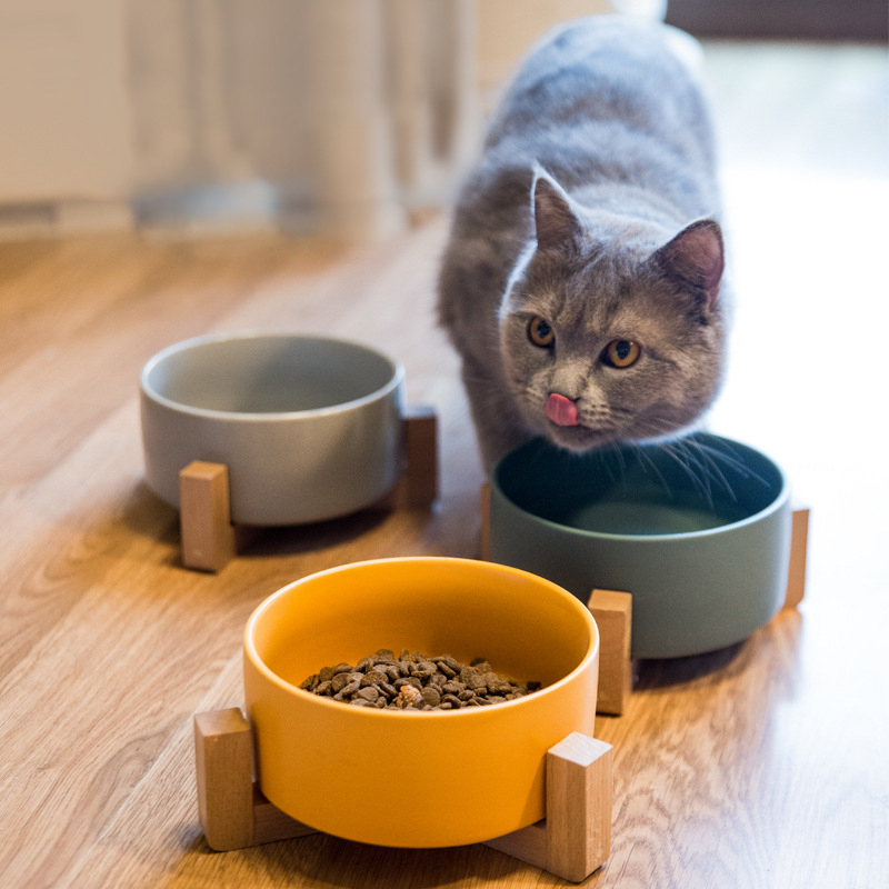 Ceramic Dog Cat Bowl (2)