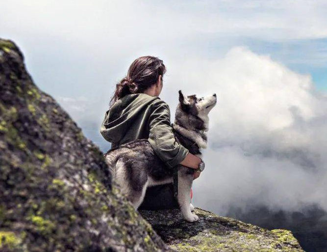 Dog mountain climbing