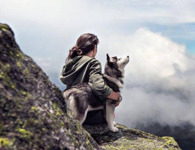 Escalade en montagne avec un chien