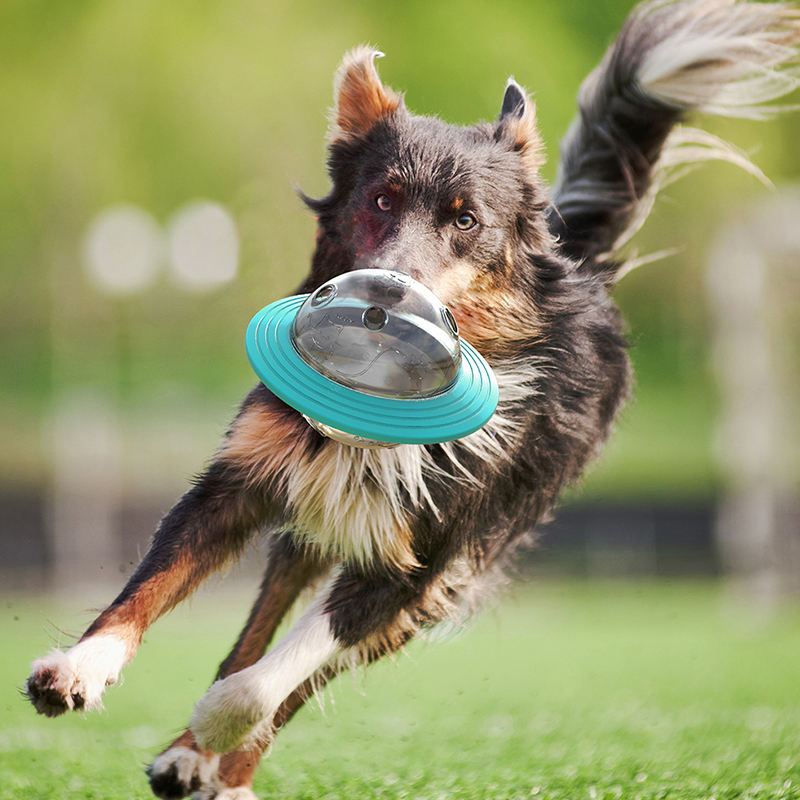 Ġugarell tal-klieb tal-frisbee