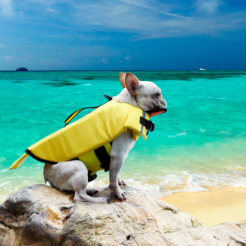 Sigurtà Ħelu Papra Kelb il-baħar Pet Dog Save Life Jacket Vest (7)