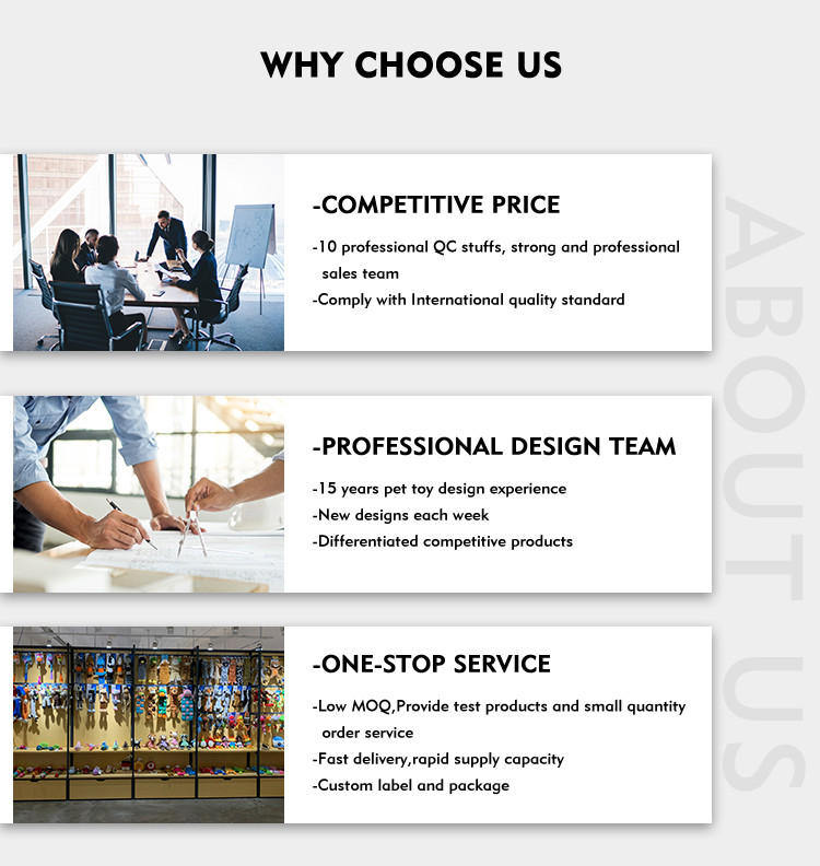 WHY CHOOSE US