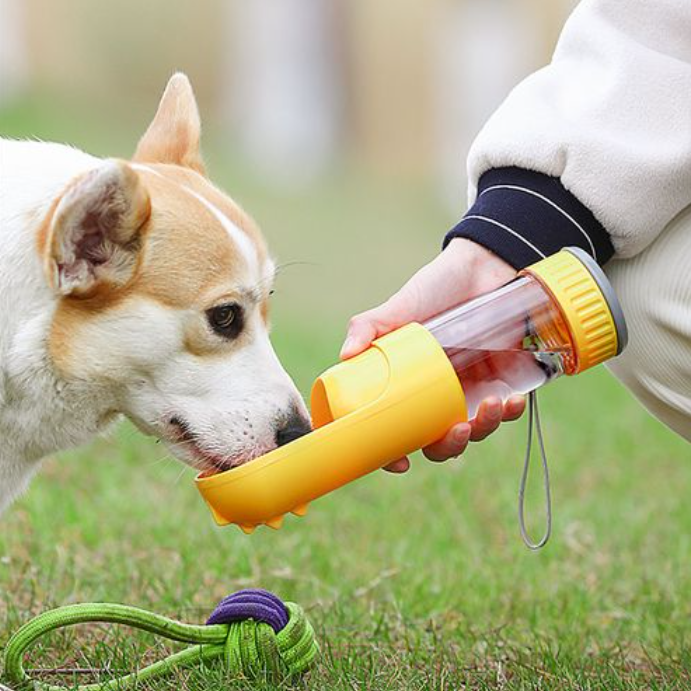 chai uống nước di động ngoài trời